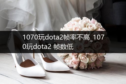1070玩dota2帧率不高_1070玩dota2 帧数低