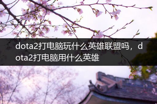 dota2打电脑玩什么英雄联盟吗，dota2打电脑用什么英雄