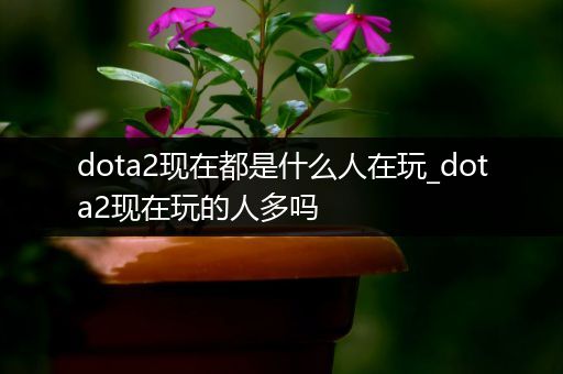 dota2现在都是什么人在玩_dota2现在玩的人多吗