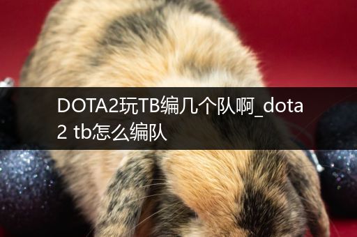 DOTA2玩TB编几个队啊_dota2 tb怎么编队