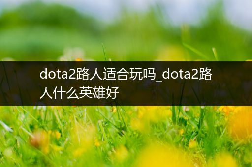 dota2路人适合玩吗_dota2路人什么英雄好