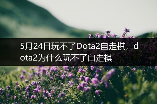 5月24日玩不了Dota2自走棋，dota2为什么玩不了自走棋