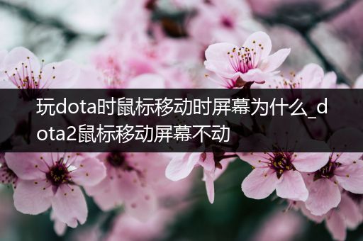 玩dota时鼠标移动时屏幕为什么_dota2鼠标移动屏幕不动