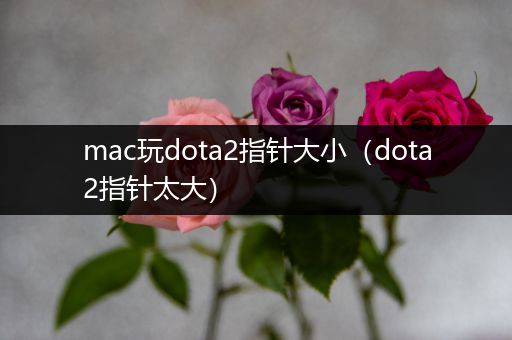 mac玩dota2指针大小（dota2指针太大）