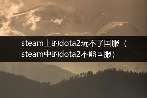 steam上的dota2玩不了国服（steam中的dota2不能国服）