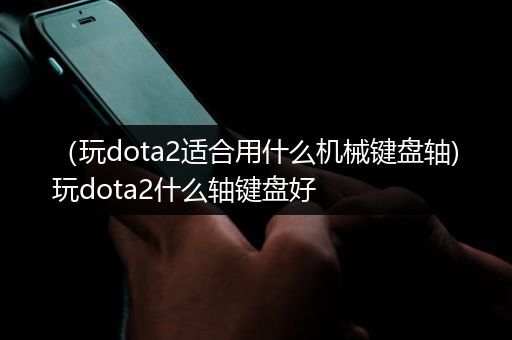 （玩dota2适合用什么机械键盘轴)玩dota2什么轴键盘好