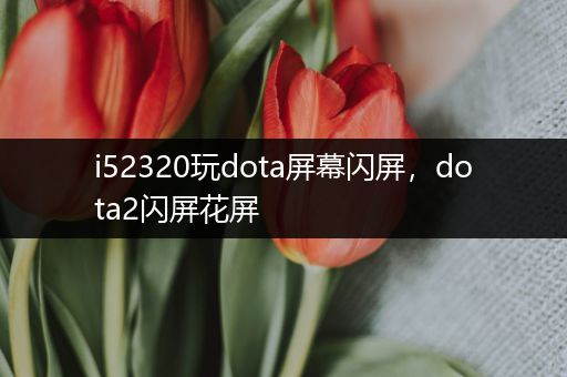 i52320玩dota屏幕闪屏，dota2闪屏花屏