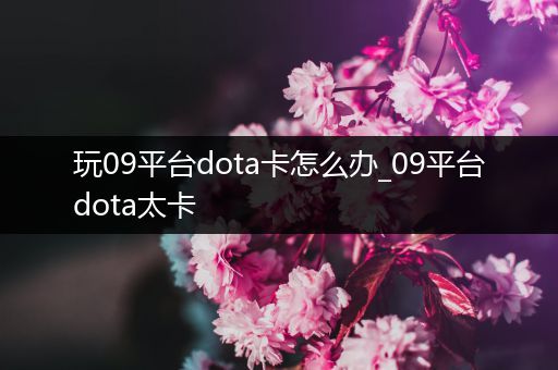 玩09平台dota卡怎么办_09平台dota太卡