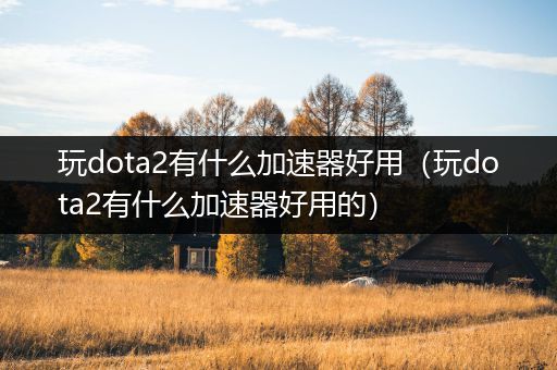 玩dota2有什么加速器好用（玩dota2有什么加速器好用的）