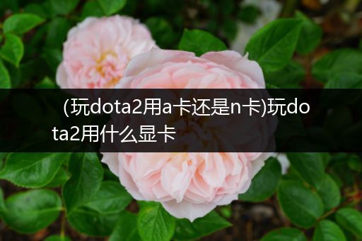 （玩dota2用a卡还是n卡)玩dota2用什么显卡