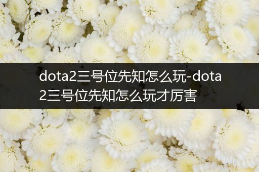 dota2三号位先知怎么玩-dota2三号位先知怎么玩才厉害