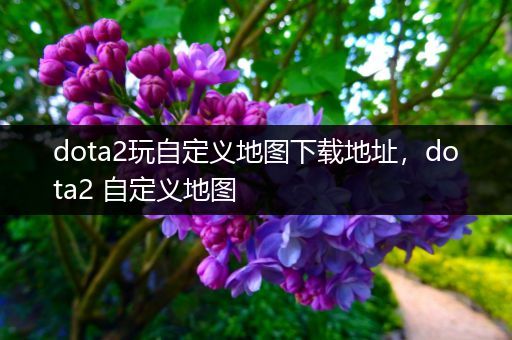 dota2玩自定义地图下载地址，dota2 自定义地图