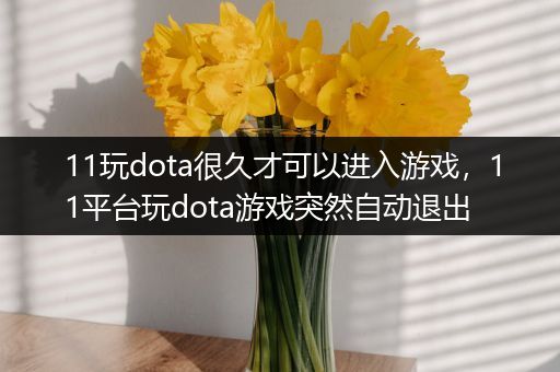 11玩dota很久才可以进入游戏，11平台玩dota游戏突然自动退出