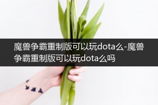 魔兽争霸重制版可以玩dota么-魔兽争霸重制版可以玩dota么吗