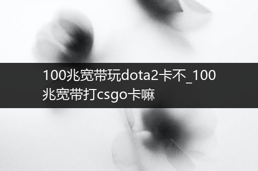 100兆宽带玩dota2卡不_100兆宽带打csgo卡嘛