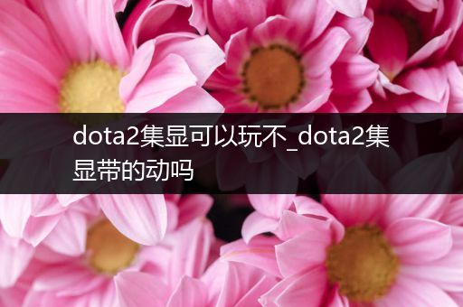 dota2集显可以玩不_dota2集显带的动吗