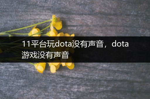 11平台玩dota没有声音，dota游戏没有声音