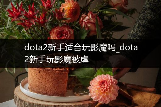 dota2新手适合玩影魔吗_dota2新手玩影魔被虐