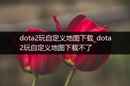 dota2玩自定义地图下载_dota2玩自定义地图下载不了