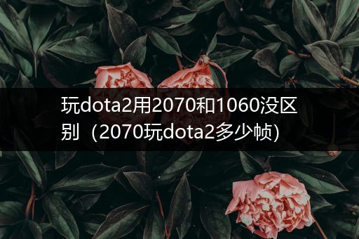 玩dota2用2070和1060没区别（2070玩dota2多少帧）