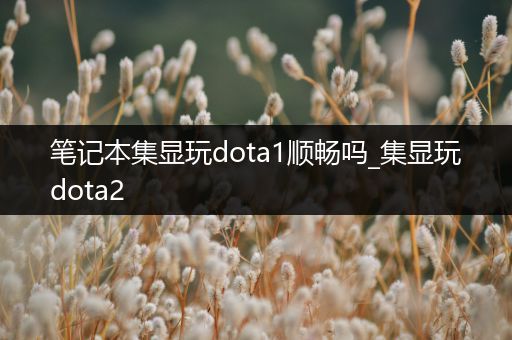 笔记本集显玩dota1顺畅吗_集显玩dota2