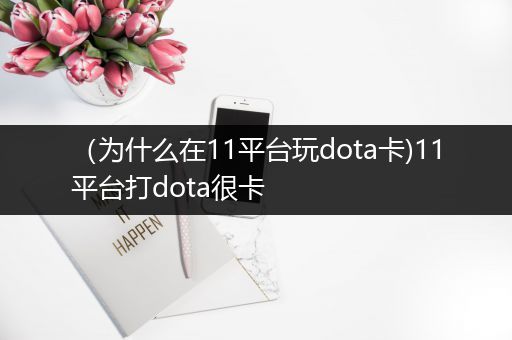 （为什么在11平台玩dota卡)11平台打dota很卡