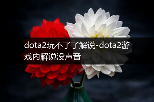 dota2玩不了了解说-dota2游戏内解说没声音