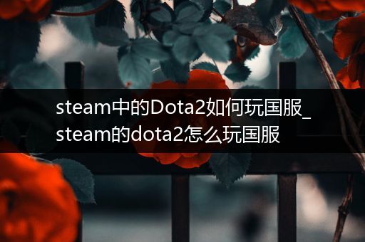 steam中的Dota2如何玩国服_steam的dota2怎么玩国服