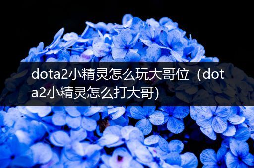 dota2小精灵怎么玩大哥位（dota2小精灵怎么打大哥）