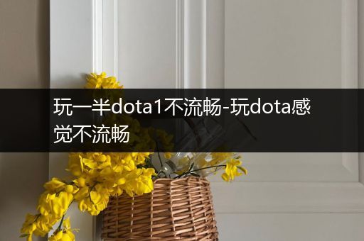 玩一半dota1不流畅-玩dota感觉不流畅
