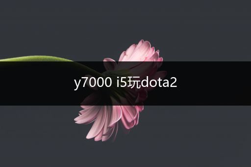 y7000 i5玩dota2