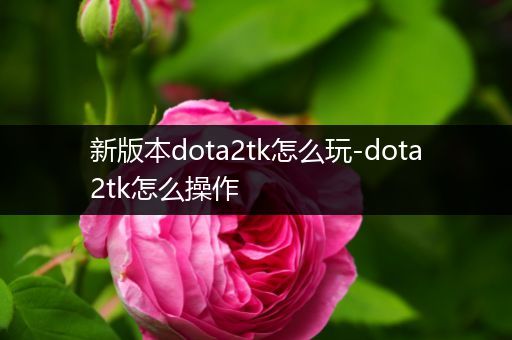 新版本dota2tk怎么玩-dota2tk怎么操作