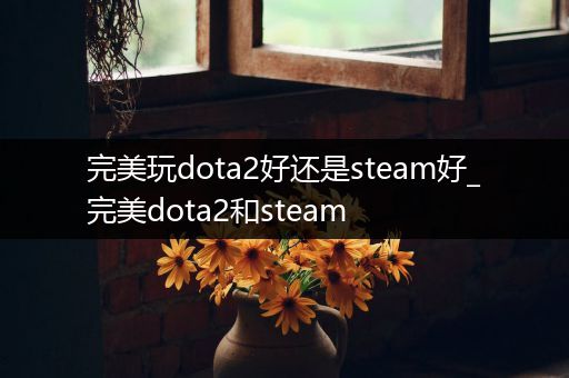 完美玩dota2好还是steam好_完美dota2和steam