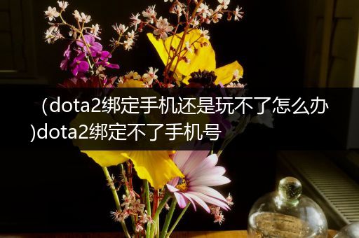 （dota2绑定手机还是玩不了怎么办)dota2绑定不了手机号