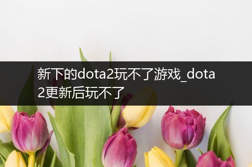 新下的dota2玩不了游戏_dota2更新后玩不了