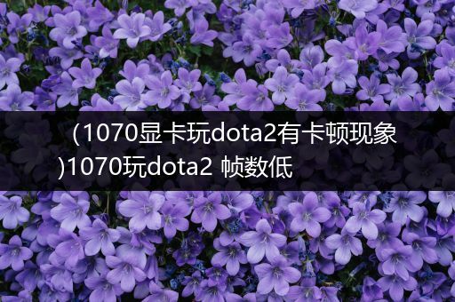 （1070显卡玩dota2有卡顿现象)1070玩dota2 帧数低