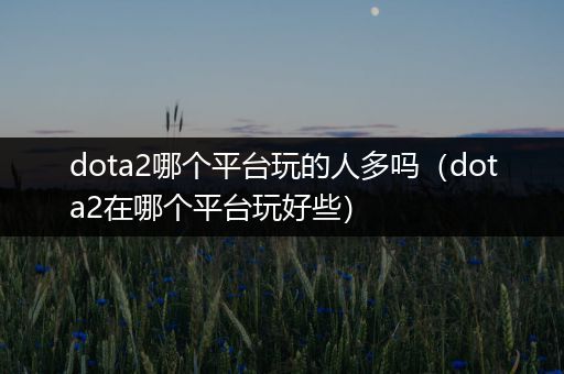 dota2哪个平台玩的人多吗（dota2在哪个平台玩好些）