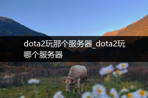 dota2玩那个服务器_dota2玩哪个服务器