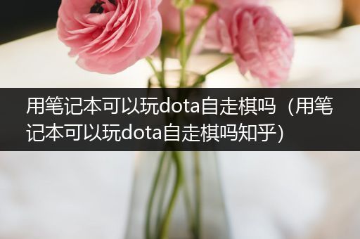 用笔记本可以玩dota自走棋吗（用笔记本可以玩dota自走棋吗知乎）