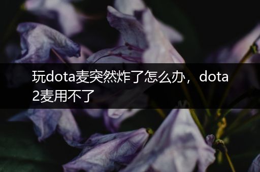 玩dota麦突然炸了怎么办，dota2麦用不了