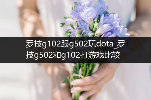 罗技g102跟g502玩dota_罗技g502和g102打游戏比较