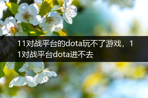 11对战平台的dota玩不了游戏，11对战平台dota进不去