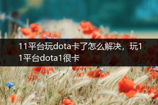 11平台玩dota卡了怎么解决，玩11平台dota1很卡