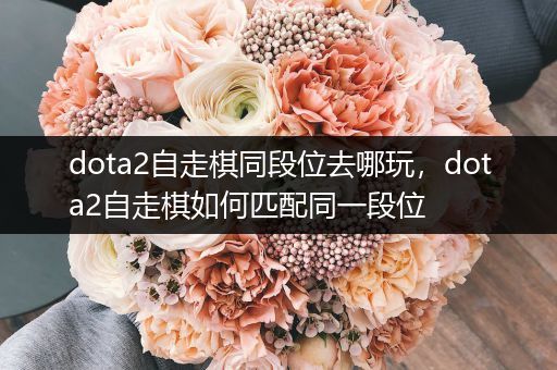 dota2自走棋同段位去哪玩，dota2自走棋如何匹配同一段位