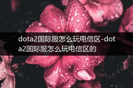 dota2国际服怎么玩电信区-dota2国际服怎么玩电信区的