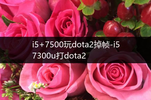 i5+7500玩dota2掉帧-i57300u打dota2