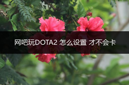 网吧玩DOTA2 怎么设置 才不会卡