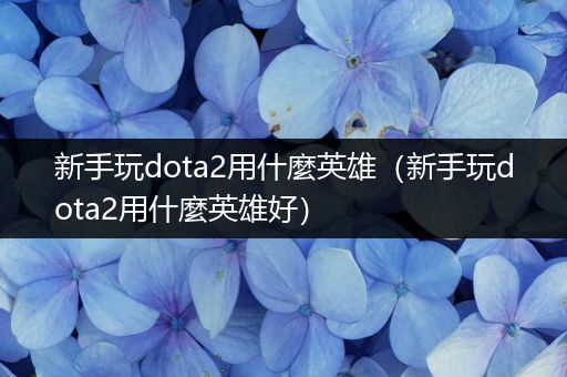 新手玩dota2用什麼英雄（新手玩dota2用什麼英雄好）