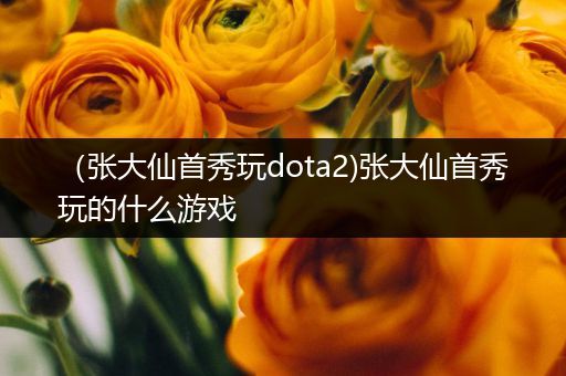 （张大仙首秀玩dota2)张大仙首秀玩的什么游戏