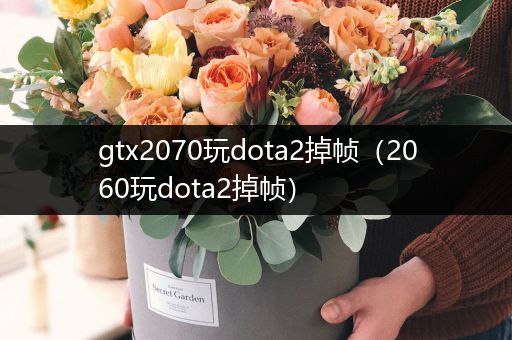 gtx2070玩dota2掉帧（2060玩dota2掉帧）